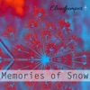 Memories of Snow