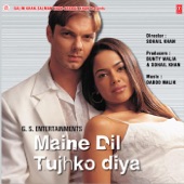 Maine Dil Tujhko Diya artwork