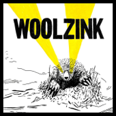Baby Don't You Want To Go - Woolzink Cover Art