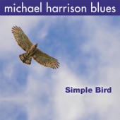 Michael Harrison Blues - Michael Boogie (Revisited)