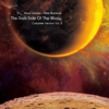 The Dark Side of the Moog (Complete Version, Vol. 3) [feat. Pete Namlook] - Klaus Schulze