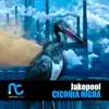 Stream & download Ciconia Nigra - Single