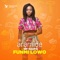 FunMi Lowo (feat. Sir Dauda) - Aramide lyrics