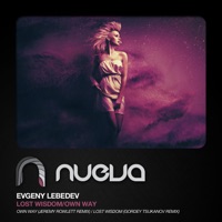 Lost Wisdom / Own Way Remixes - Single - Evgeny Lebedev