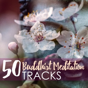 50 Buddhist Meditation Tracks - Mindful Meditations Music, Zen Sounds of Nature & Buddha Songs