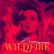 Wildfire (Tony Arzadon Radio Mix) - Bean lyrics