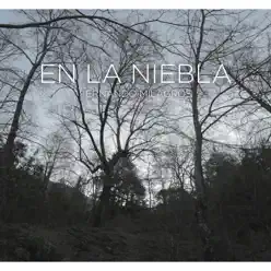 En la Niebla - Single - Fernando Milagros