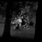 Toji - Vogelbat lyrics