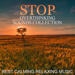 Stop Overthinking Sounds Collection: Best Calming Relaxing Music for Mindfulness Meditation, Yoga, Spa, Deep Sleep, New Age