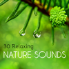 30 Relaxing Nature Sounds - Soothing Water and Earth Noises to Improve Meditation and Sleep - Spiritual Health Music Academy