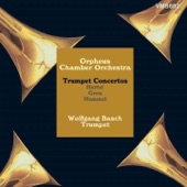 Trumpet Concerto No.3 in D Major: I. Allegro artwork