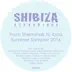 Brothaz Keeper (Aad Mouthaan & Paul Sheep Remix) song reviews