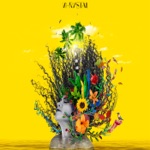 Executivo do Pandeiro