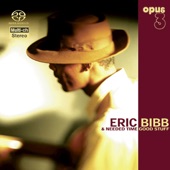 Eric Bibb - A Simple Song