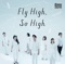 Fly High, So High artwork