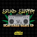 Scattered Beats - EP