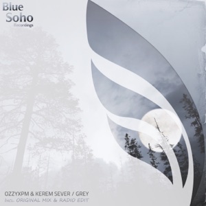 Grey - Single