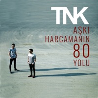 Aşkı Harcamanın 80 Yolu - Single - TNK