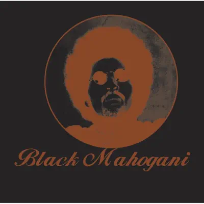 Moodymann/Shades of Jae レコード Moodymann – Shades Of Jae – Vinyl (12
