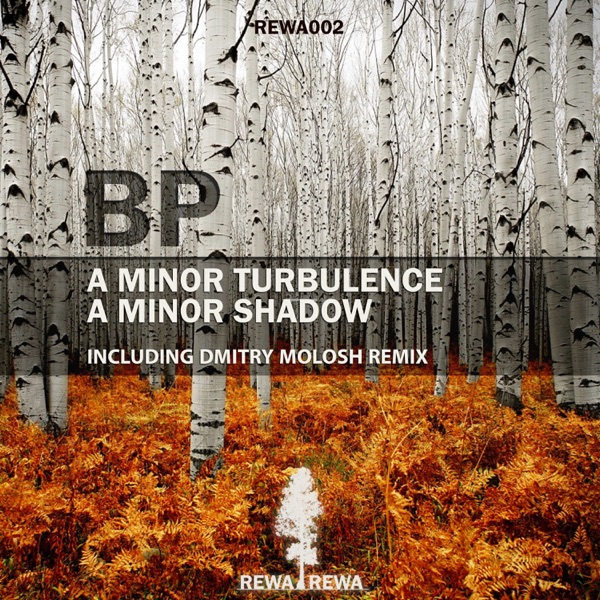 A Minor Turbulence / A Minor Shadow - Single
