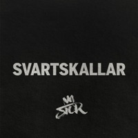 Svartskallar - Single - Stor