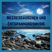 Meeresrauschen und Entspannungsmusik - 25 Top Meditationsmusik und Sanfte Musik mit Naturgeräuschen am Meer (Hohe Qualität) - Entspannungsmusik Meer Meister