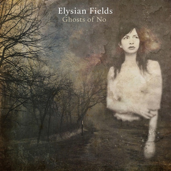 Cover artwork for Elysian Fields