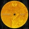 Sticky Fingers - Fredda.L lyrics