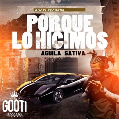 Porque Lo Hicimos - Single
