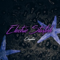 Electric Starfish - Chrystian