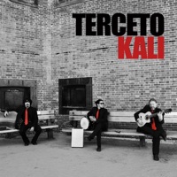 Terceto Kali - Zardoz (Bulerias)