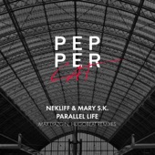 Parallel Life (Max Lyazgin Remix) artwork