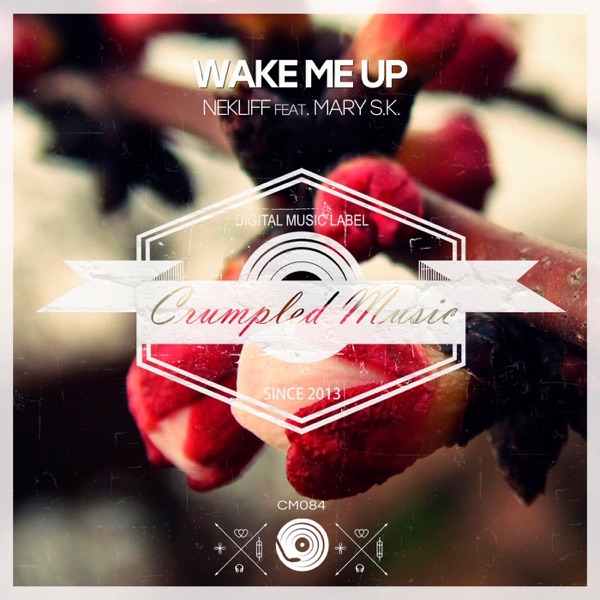 Wake Me Up - Single