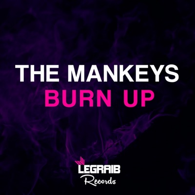 Burn Up - Single