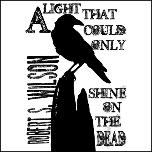 A Light That Could Only Shine on the Dead: A Horror Short Story (Unabridged) cover