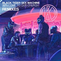 Welcome To Our Church Remixes - Black Tiger Sex Machine