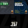 Ruben Sanchez I Try (Ruben Sanchez Remix) Fire Beats 257