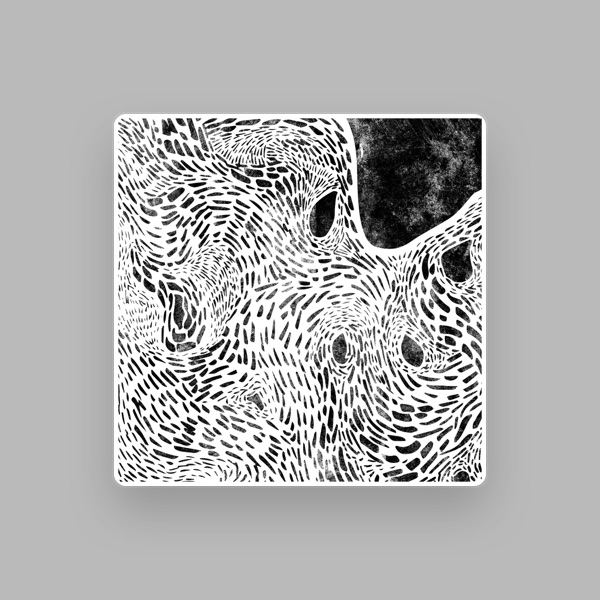 Cara Stacey's avatar