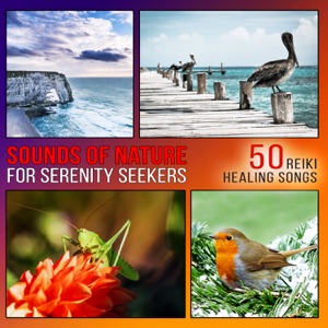 Sounds of Nature for Serenity Seekers: Be Calm - 50 Reiki Healing Songs for Yoga Meditation & Relax, Zen Music for Spa Massage