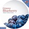Blueberry (Stefano Crabuzza Remix) - Gruuve lyrics