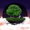 Walk & Walk (feat. LT) - AYNA & Deeepsol lyrics