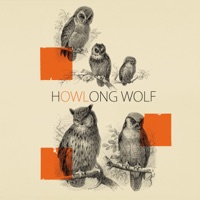 Owl - Howlong Wolf