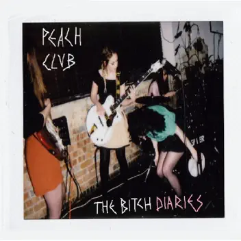 The Bitch Diaries album cover