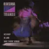 Bluesiana Triangle - Shoo Fly Don't Bother Me
