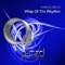 Whip of the Rhythm (Stan Kolev Remix) - Chicco Secci lyrics
