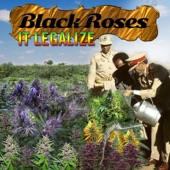 Black Roses (feat. Brenda) artwork