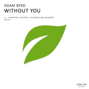 Without You - Single