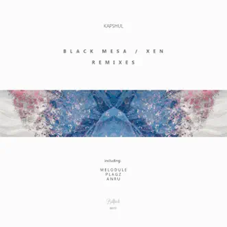 Black Mesa / Xen Remixes - Single by Kapshul album reviews, ratings, credits