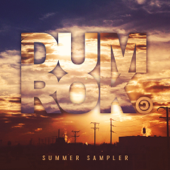 Summer Sampler - EP