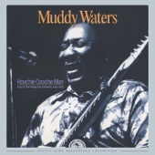 Muddy Waters - Highway 41 (Live) [2016 Remastered]